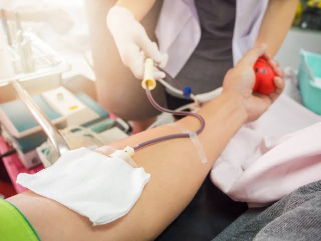A doação de sangue pode ser realizada no Hemepar no dia oficial da ação ou em qualquer data.